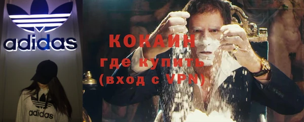 тгк Магас