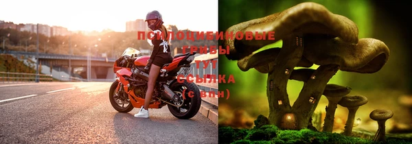 синтетический гашиш Магадан